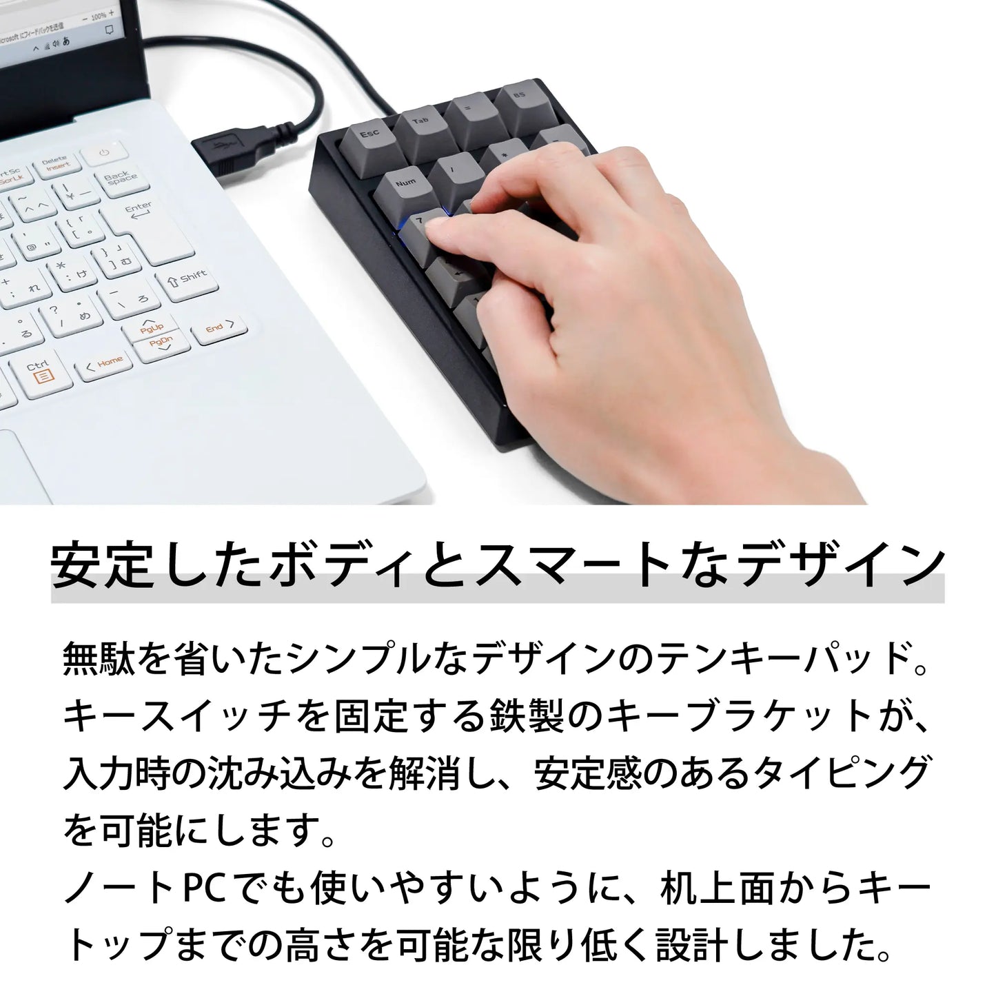 【販売終了】Maestro NPad