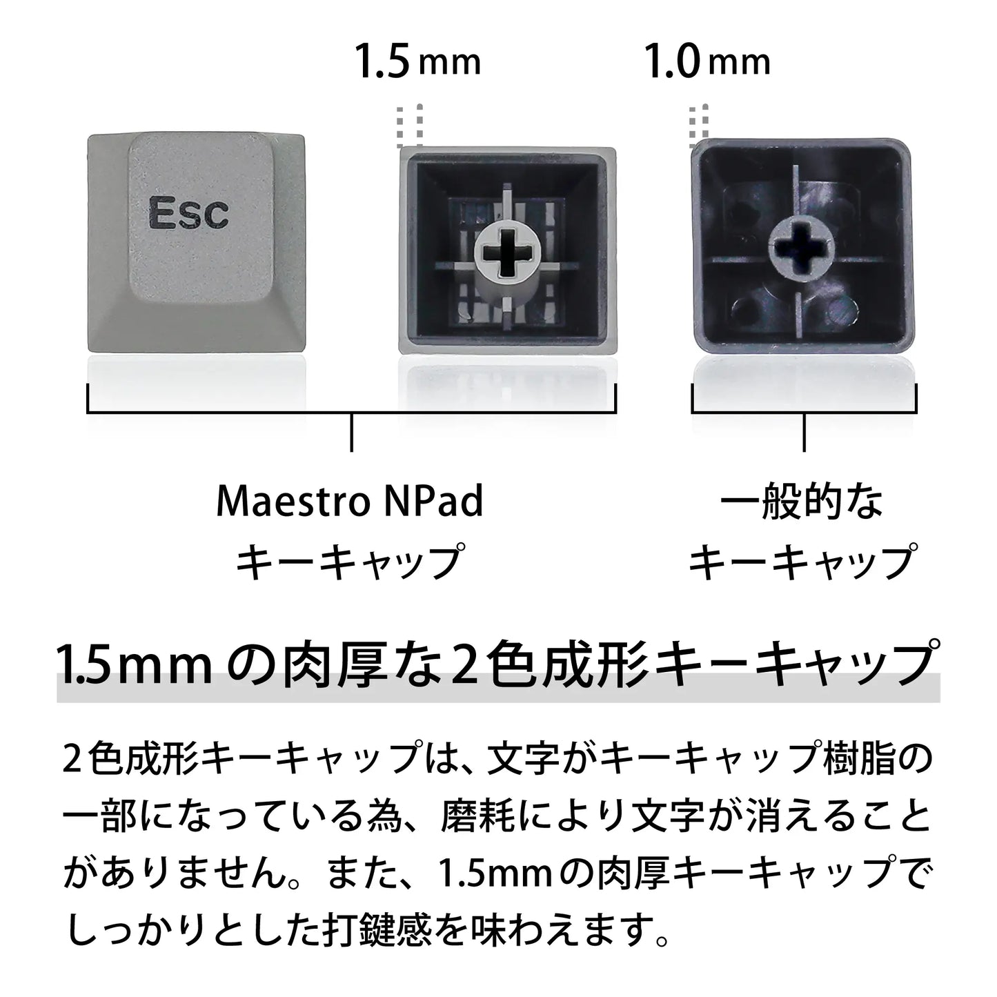 【販売終了】Maestro NPad