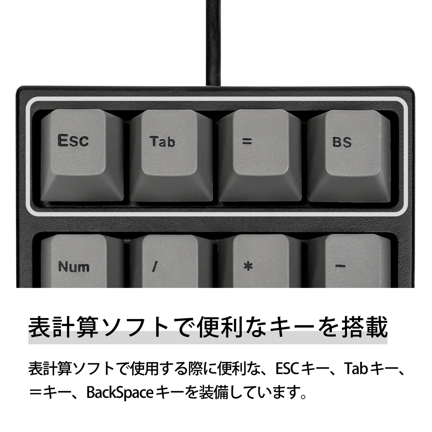 【販売終了】Maestro NPad