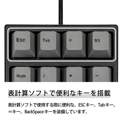 【販売終了】Maestro NPad