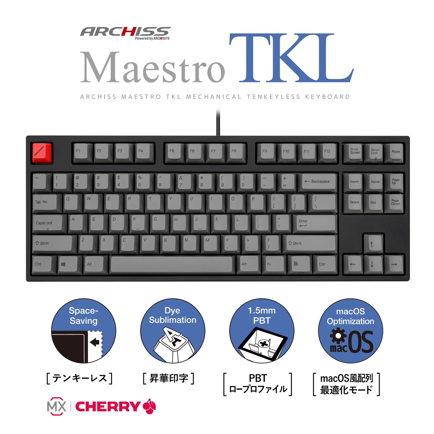 Maestro TKL - 英語配列