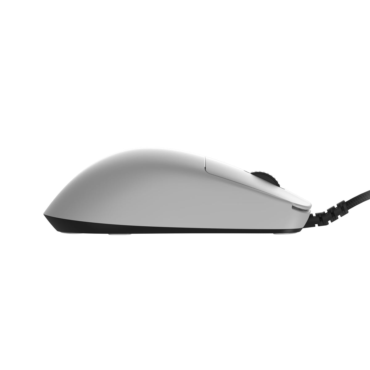 OP1 8K v2 White