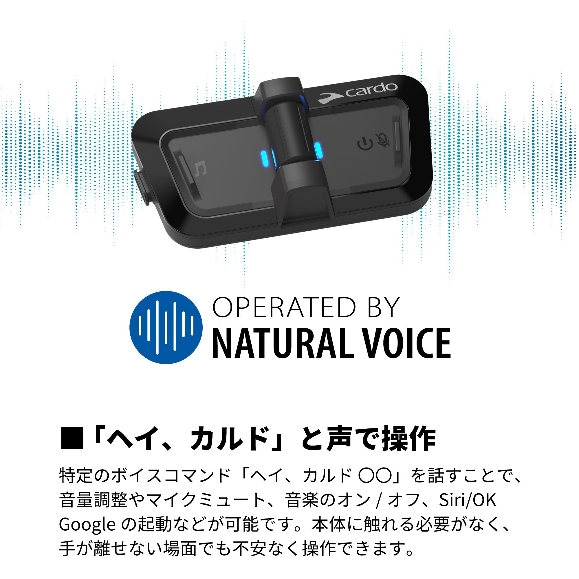 PACKTALK OUTDOOR - BLACK（パックトークアウトドア）｜Cardo（カルド