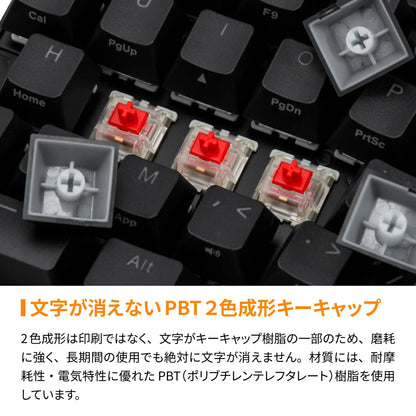 【販売終了】BAROCCO MD600 Alpha BT RGB - 英語配列