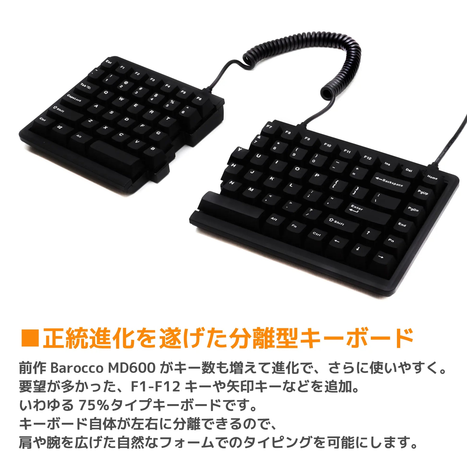 Mistel キーボード BAROCCO MD770 RGB - 英語配列|キーボード Mistel キーボード BAROCCO MD770 RGB - 英語配列|キーボード